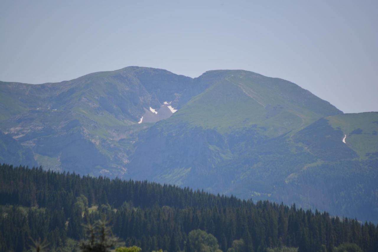 Osada Witow - Dom "Milosna Gorska" Bagian luar foto